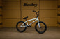 SUNDAY FORECASTER - BROC RAIFORD SIGNATURE Gloss Sky Blue with 21" tt